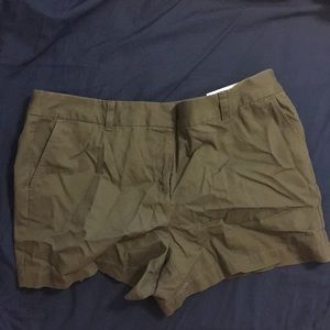 Army Green LOFT Shorts
